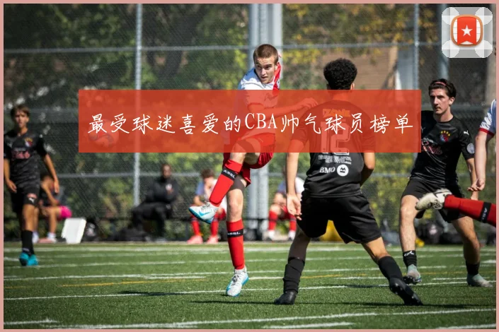 最受球迷喜爱的CBA帅气球员榜单