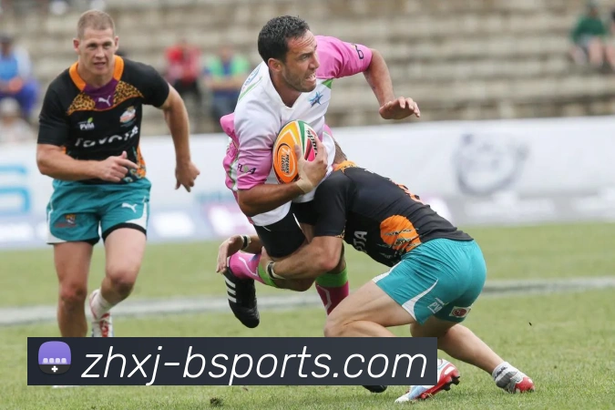 B体育Bsports平台生态图