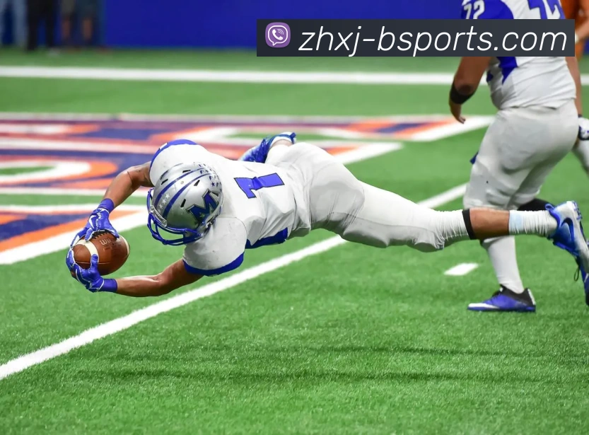 B体育BsportsAPP 封面图